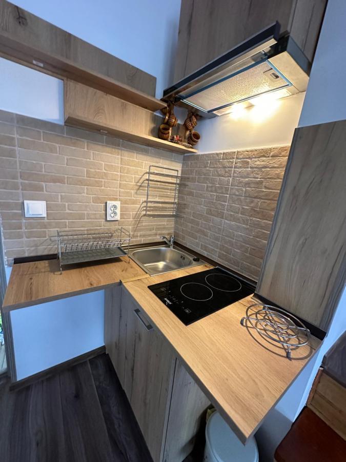 Casa Rares Busteni Bagian luar foto