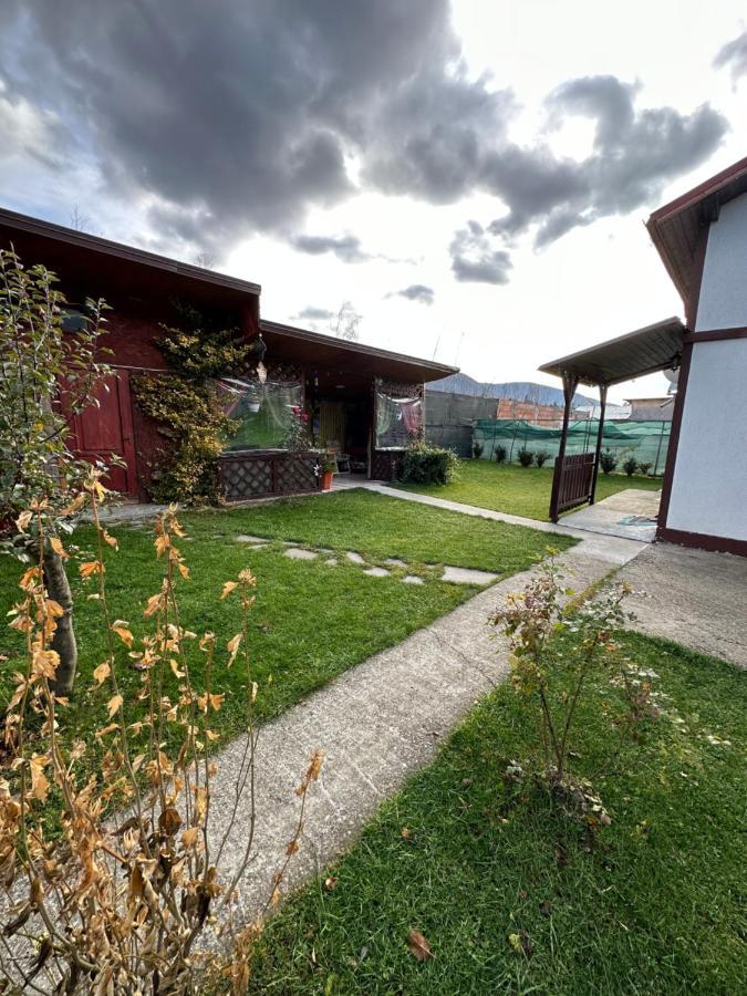 Casa Rares Busteni Bagian luar foto